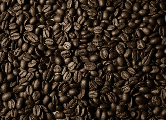 roasted coffee beans