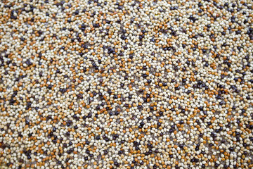 Abstract closeup blurred color seed background