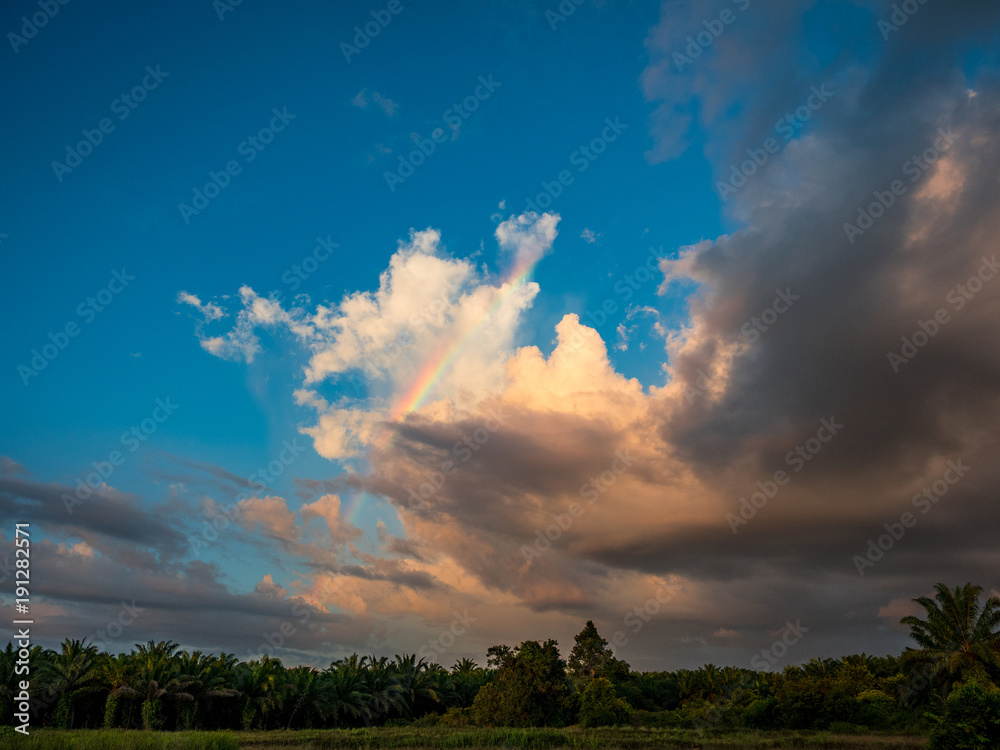 Wall mural dark cloud with the rainbow