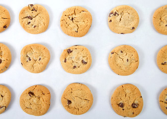 flat view from above fresh baked soft and chewy chocolate chip cookies on a baking tray covered in parchment paper. A popular homemade treat for adults and children alike.