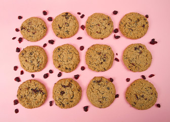 Flat view from above, one dozen oatmeal cranberry cookies on a pink background, random cranberries laying on table around cookies.
