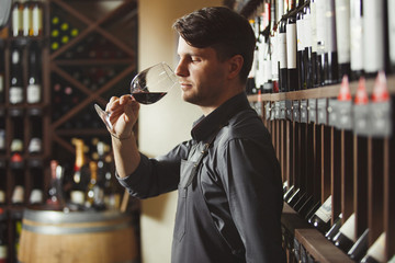 Bartender stands in cellar and smells wine in glass