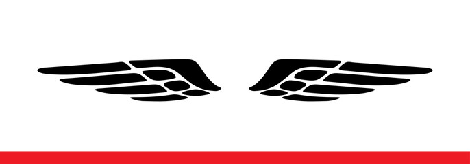 Wings. Vector illustration on white background. Black and white style. © Azat Valeev