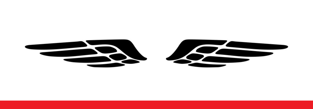 Wings. Vector illustration on white background. Black and white style.