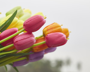 bouquet of tulips in spring