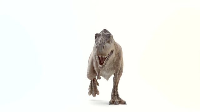 Tyrannosaurus Rex in motion of attack