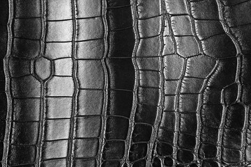 Black crocodile skin texture, as background