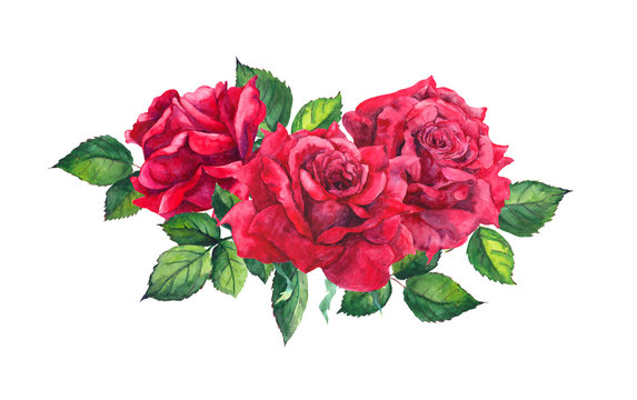Red roses bouquet. Isolated watercolor illustration