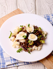 Lentils salad with apple and egg on a white plate