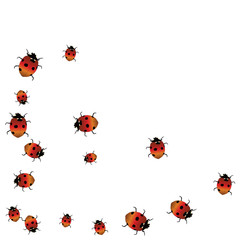 Delicate background with ladybugs. Trendy template for a postcard, stamp, banner or poster. Cute Ladybugs on a white background. Vector