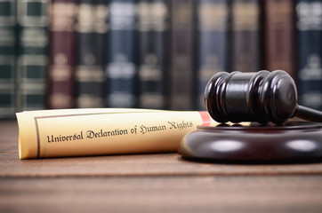 Judge Gavel and Universal Declaration of Human Rights.