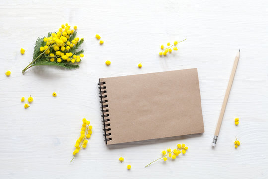 Spring background with flowers