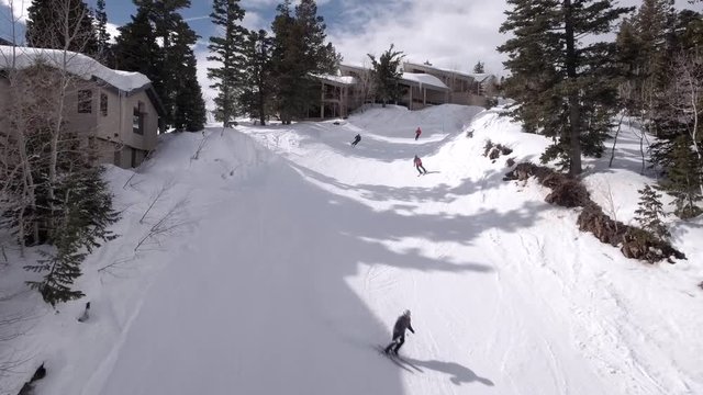 Aerial shot of people downhill skiing in pine trees at mountain ski resort