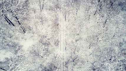 Flying over train tracks in a winter forest