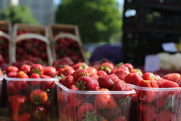 Local Farmers Market. Fresh produce: vegetables, berries, wild flowers. Older people buying groceries. Lithuania.