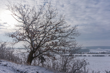 Landschaft im Winter