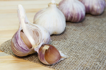 Garlic. Garlic Cloves and Garlic Bulb on vintage burlap. Organic garlic. Place for text, copy space Concept of healthy food.  Selective focus.