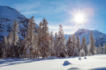 Vallata alpina con neve fresca