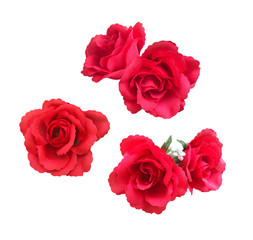 Red roses isolated on white background. Artificial Flowers, Romantic love design. Valentine's Day Concept.