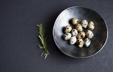 Quail eggs in ceramic black bowl on black ceramic background and green rosemary