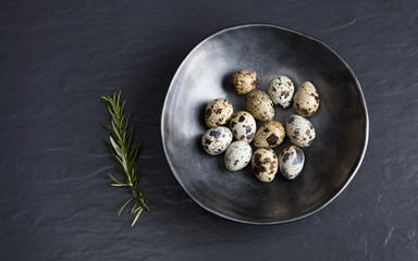 Quail eggs in ceramic black bowl on black ceramic background and green rosemary