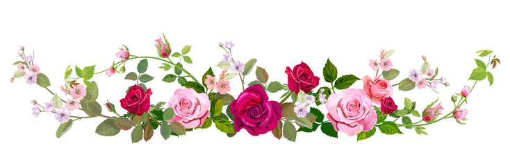Panoramic view: bouquet of roses, spring blossom. Horizontal border: red, mauve, pink flowers, buds, green leaves on white background. Digital draw illustration in watercolor style, vintage, vector - obrazy, fototapety, plakaty