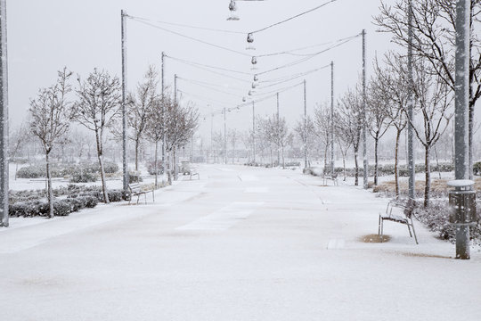 Nieve en el parque