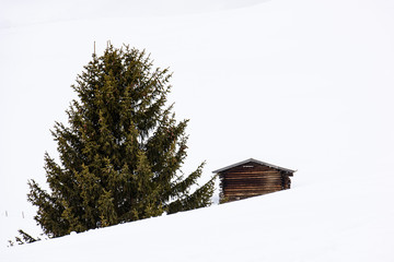 Hut in the snow. Magic atmosphere in the Dolomites