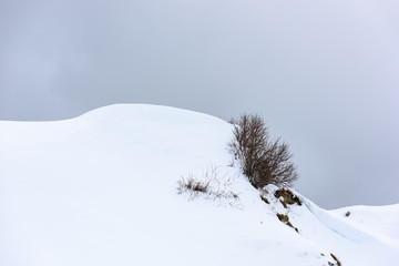 Dolomites. Magic of winter on the plateau of Siusi