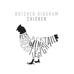 Chicken butcher diagram. Cut of chicken set. Typographic vintage - 191305159