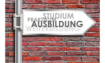 Obraz premium Wegweiser - berufliche Zukunft