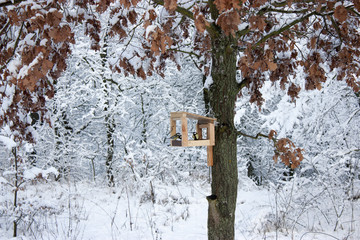 bird feeder hangs on a tree in the winter. A lot of snow.