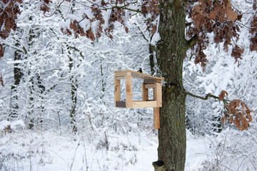 bird feeder hangs on a tree in the winter. A lot of snow.