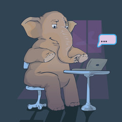 elephant and laptop