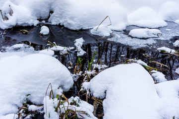 Stream with green grass in the snow