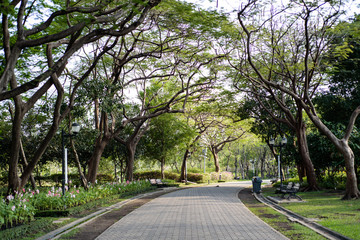 Stone Pathway in the garden.