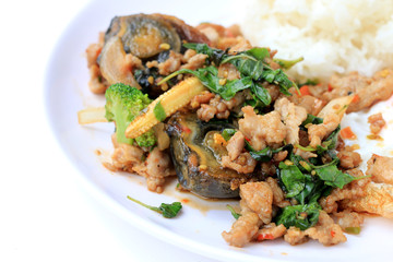 Stir-fried basil leave with minced pork, chicken, fried preserved egg and carrot, yellow corn, Broccoli with rice and fried egg in white dish on white background. Thai style food.