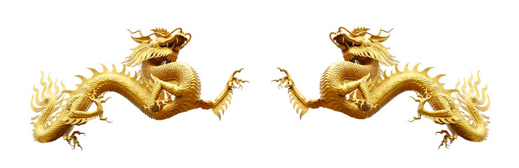 Obraz premium Chiński smok złoty na białym tle biały ze ścieżką przycinającą
