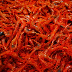 Naklejka premium A close up of prawns 