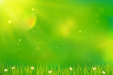 Fototapeta na wymiar Green background with grass and flowers.
