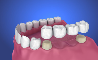 Fototapeta na wymiar Transparent teeth scan, xray view . 3D illustration .