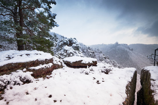 Fototapeta Winter landscape, forest and mountains during the snowfall, winter dream and winter fairytale