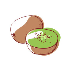 Ripe kiwi icon isolated on white background. Natural sweet eco food, healthy vegan nutrition, organic farming vector illustration