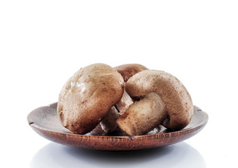 Shiitake mushroom isolated on white background.