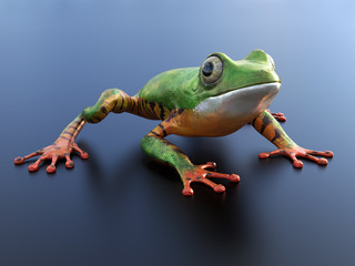 3D rendering of a realistic tree frog.