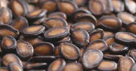 Black Melon Seeds