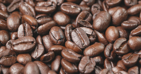 Coffee bean in brown