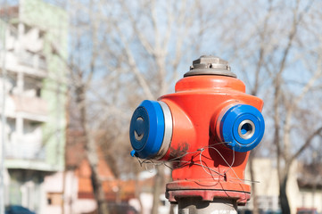 Modern fire hydrant head on the street close up