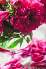 red peonies in glass vase stand on table