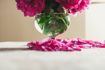 Bouquet of red peonies in vase on white background